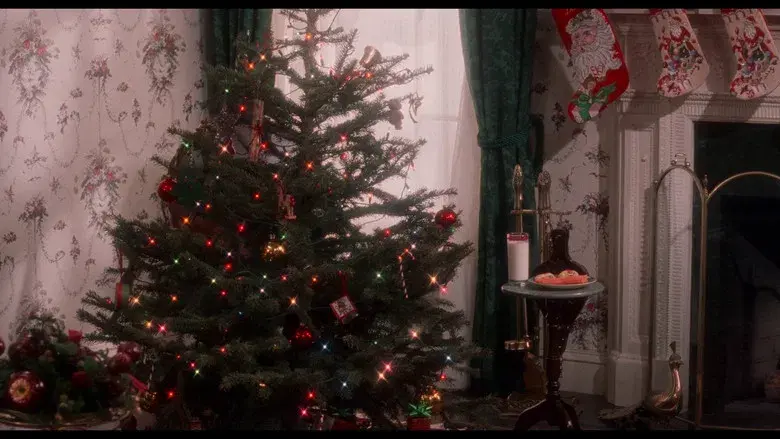 Solo en casa - Fondo