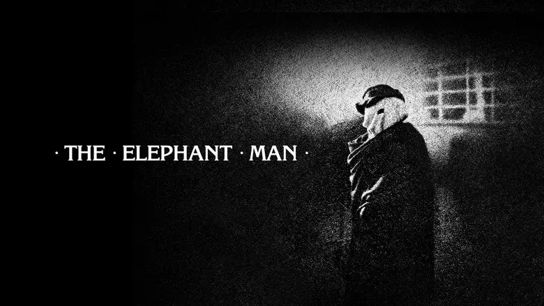 El hombre elefante - Fondo