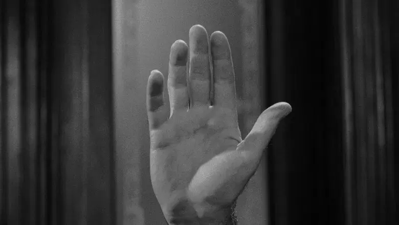 12 hombres sin piedad - Fondo