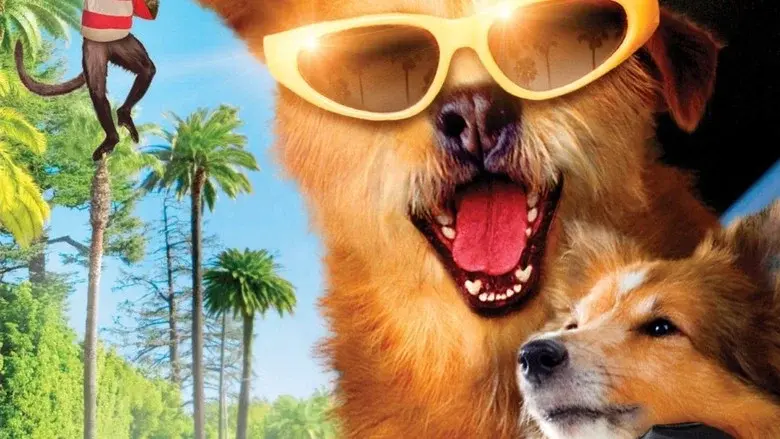 Dr. Dolittle 5 - Fondo
