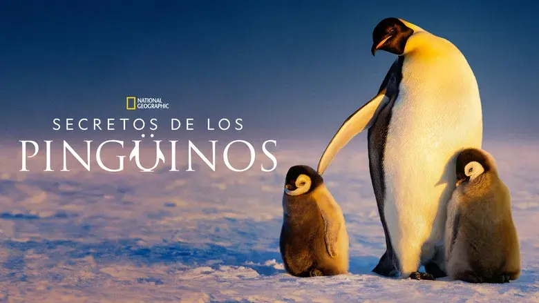 Los secretos de los pingüinos - Fondo