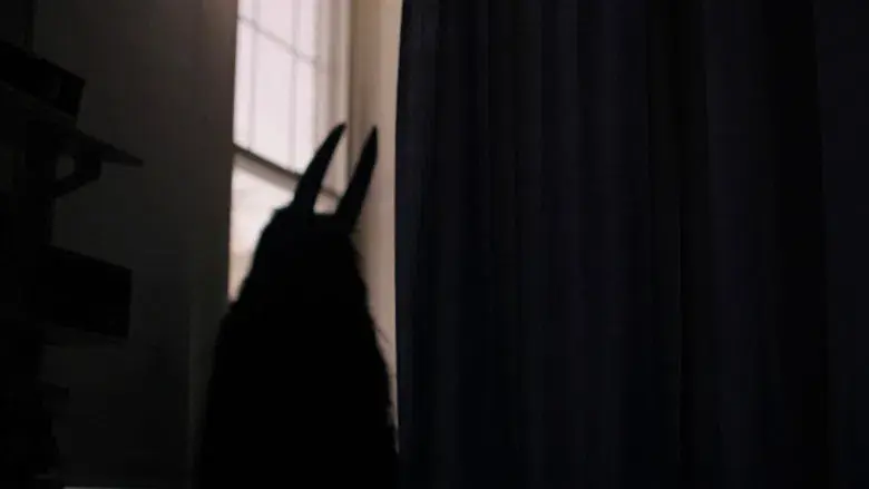 La enviada del mal - Fondo