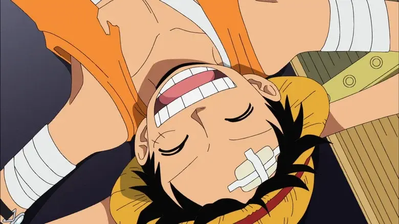 ¡Un nuevo compañero! ¡El músico Brook el Susurrante!