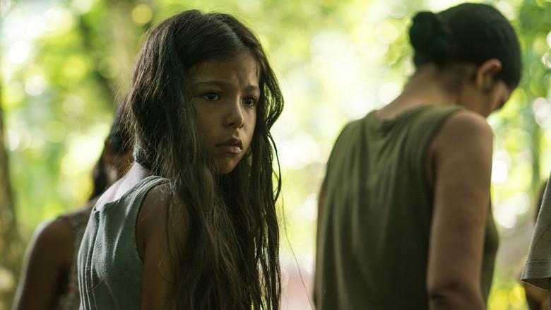 Sound of Freedom - Fondo