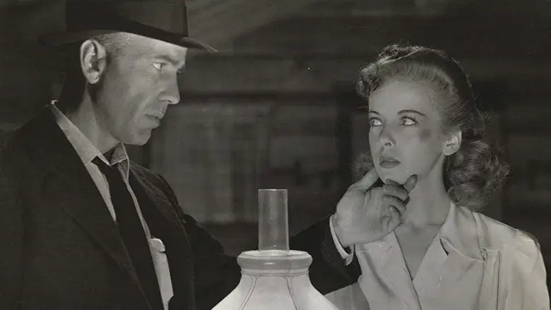 El último refugio - Fondo