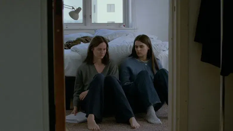 Valor sentimental - Fondo