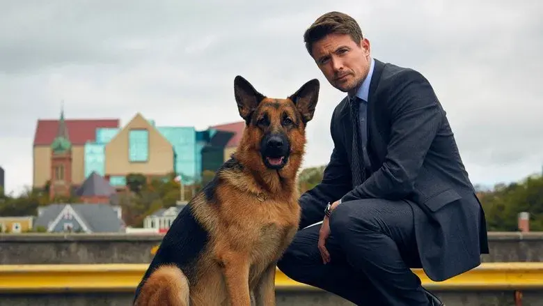 Hudson & Rex - Fondo