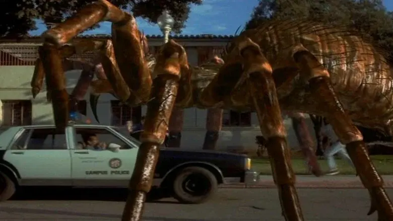 Spiders - Fondo
