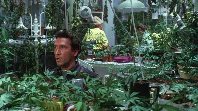 El jardín de la alegría - Fondo