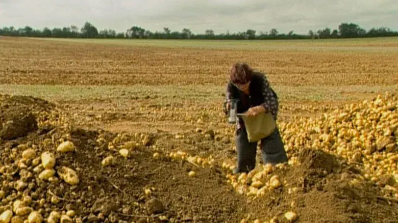 Los Espigadores y la espigadora - Fondo