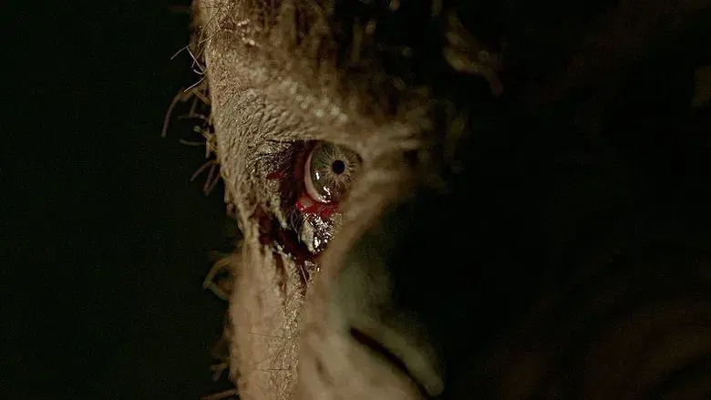 Winnie the Pooh 2: El bosque sangriento - Fondo