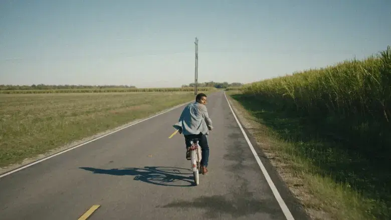 Los chicos de la Nickel - Fondo