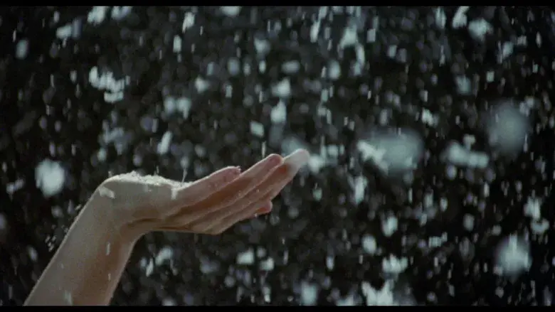 Eduardo Manostijeras - Fondo