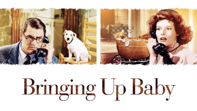 La fiera de mi niña - Fondo