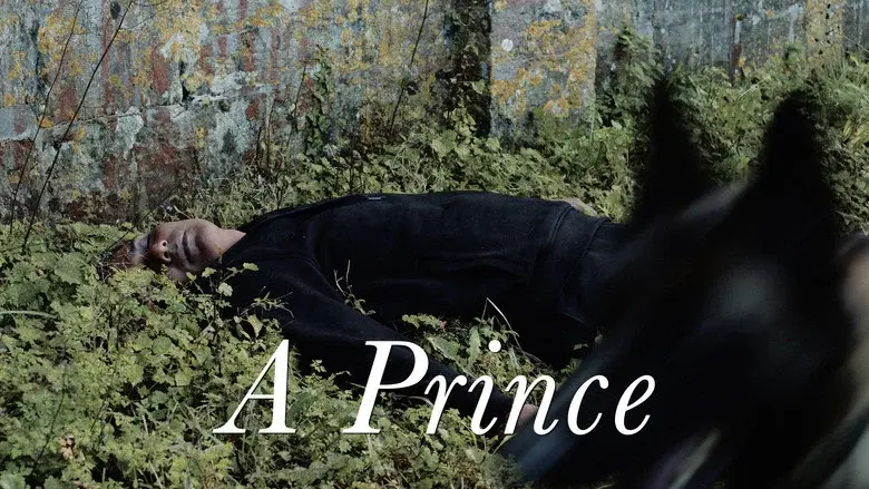Un prince - Fondo