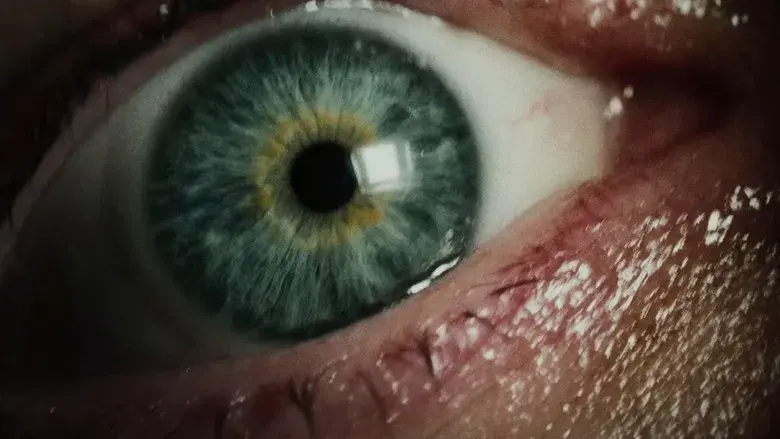 Return to Silent Hill - Fondo