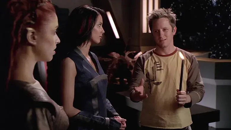 Cazas estela: los perros de la guerra