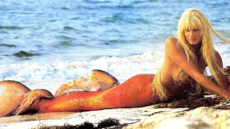 1, 2, 3... Splash - Fondo