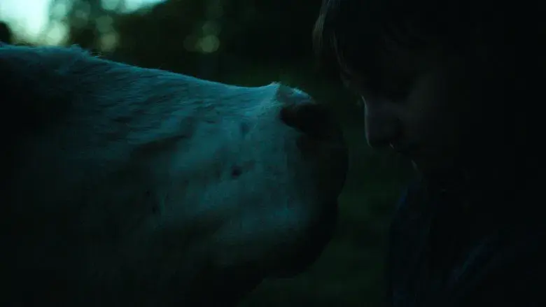 The Human Hibernation - Fondo