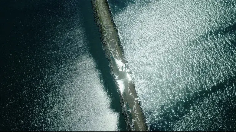 28 años después - Fondo