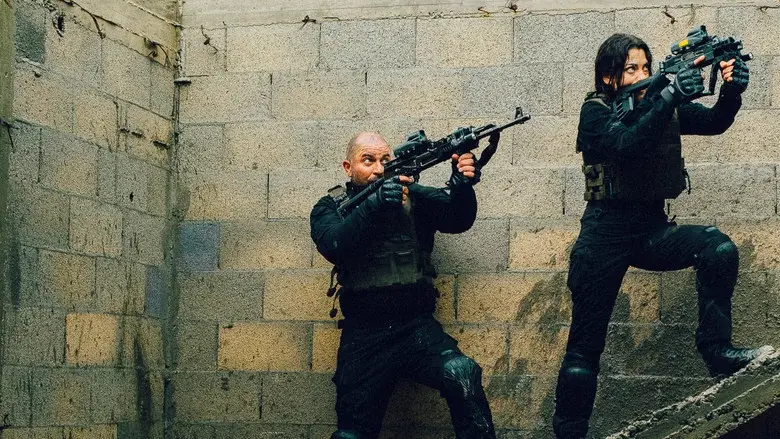 Fauda - Fondo
