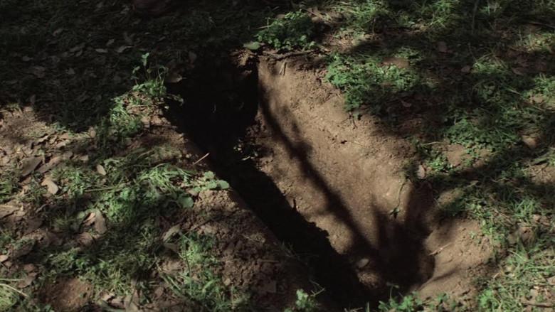 La noche de Halloween - Fondo