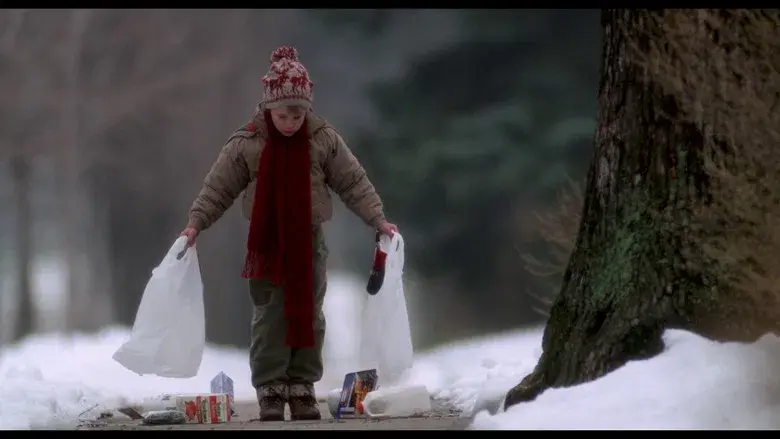 Solo en casa - Fondo