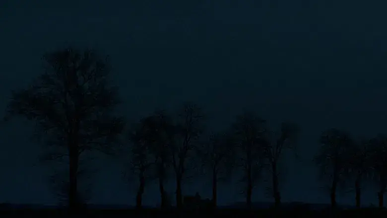 La hermanastra fea - Fondo