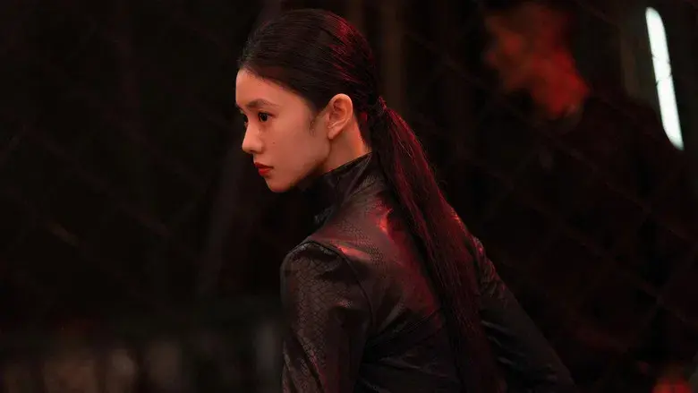 七根心简 - Fondo