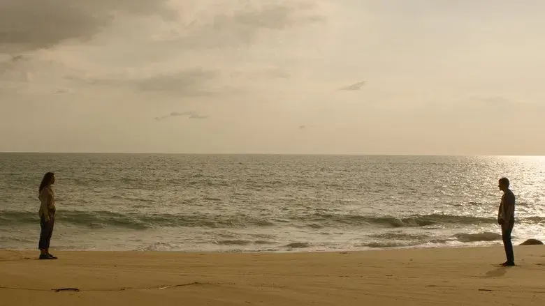 SEND HELP (Enviad ayuda) - Fondo