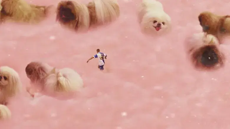 Diamantino - Backdrop