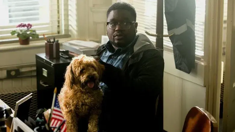 Déjame salir - Fondo