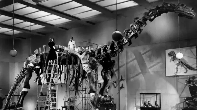 La fiera de mi niña - Fondo