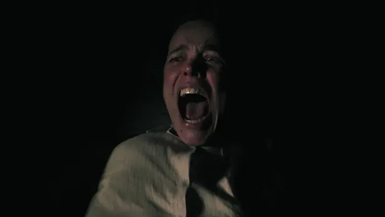 SEND HELP (Enviad ayuda) - Fondo