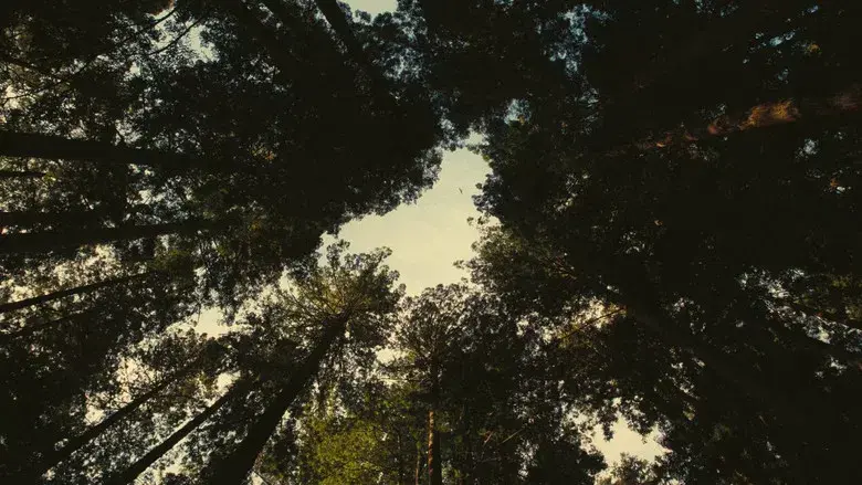 Una batalla tras otra - Fondo