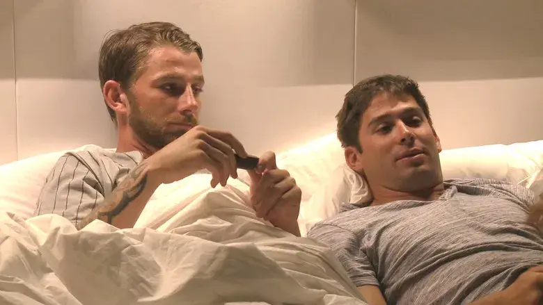 Arrollado por un oso amoroso