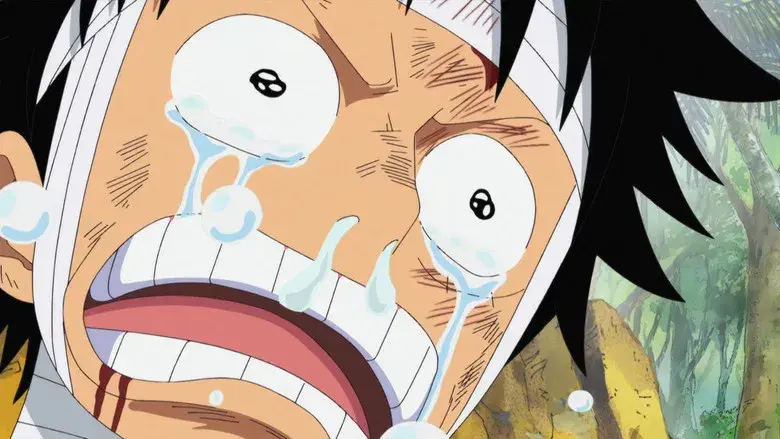 ¡Quiero volver a verles! El llanto desconsolado de Luffy