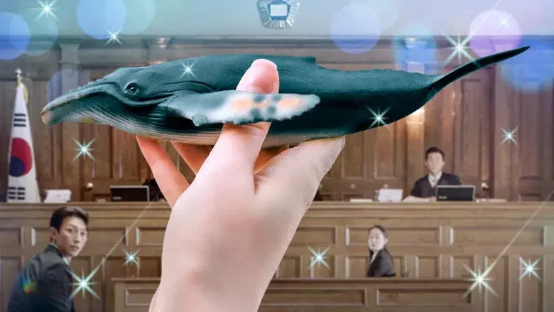 Woo, abogada extraordinaria - Fondo