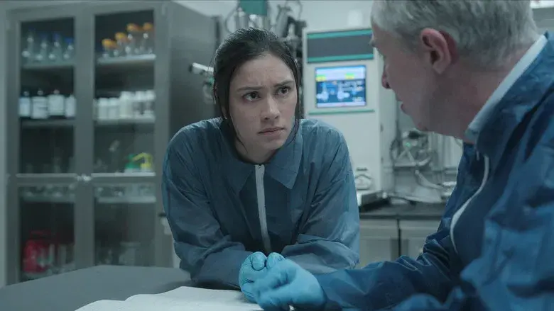 Intercambio cultural