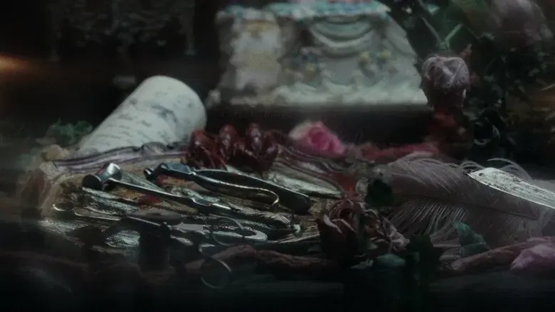 La hermanastra fea - Fondo