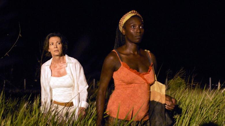 Kennedys Hirn - Fondo