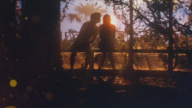 Un grito de amor desde el centro del mundo - Fondo