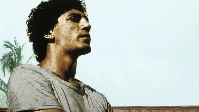 Antes que anochezca - Fondo