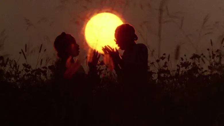 El color púrpura - Fondo