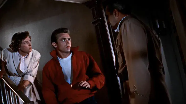 Rebelde sin causa - Fondo