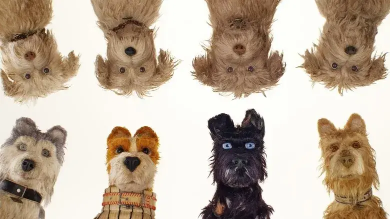 Isla de perros - Fondo