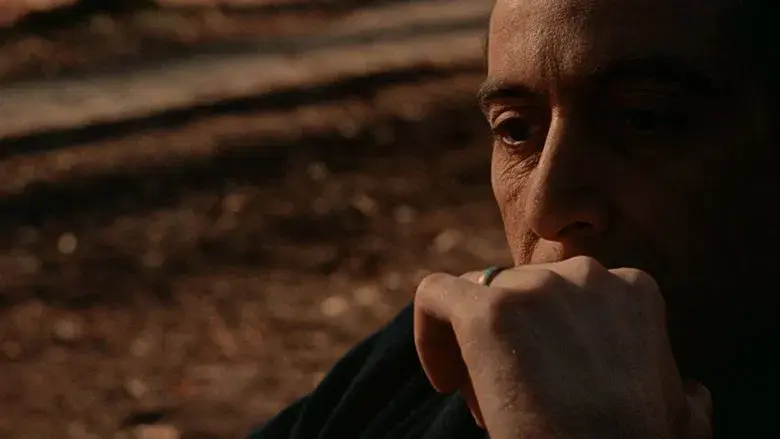 El Padrino Parte II - Fondo