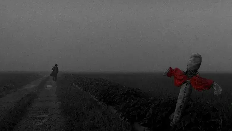 Memories of Murder (Crónica de un asesino en serie) - Fondo