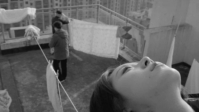 The Cloud in Her Room - Fondo