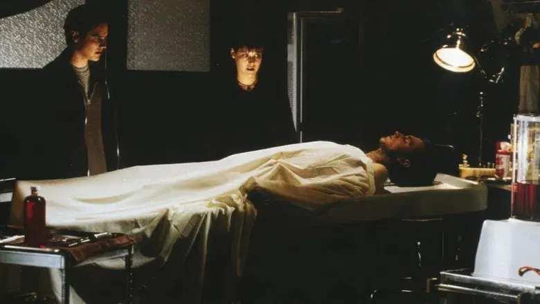 Destino final - Fondo